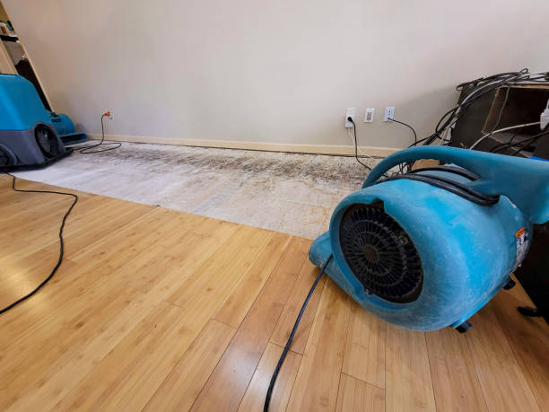 Reliable Water Extraction contractor in Englishtown, NJ by Hirex Water Damage