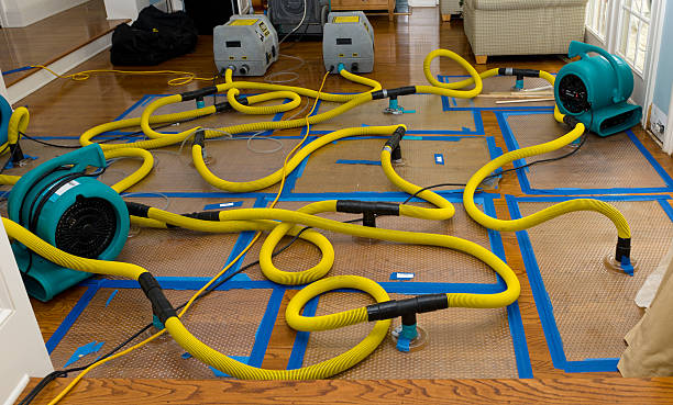 Professional Water Extraction technician working in Englishtown, NJ