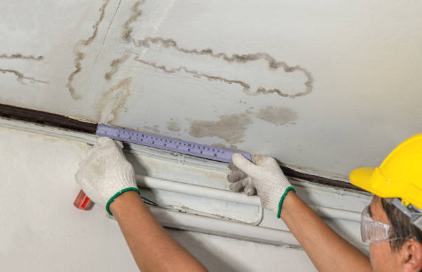 Affordable Water Damage Repair solutions in Englishtown, NJ